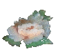 Mosaiques 071